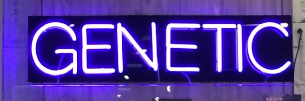 TemimaGC's profile banner image