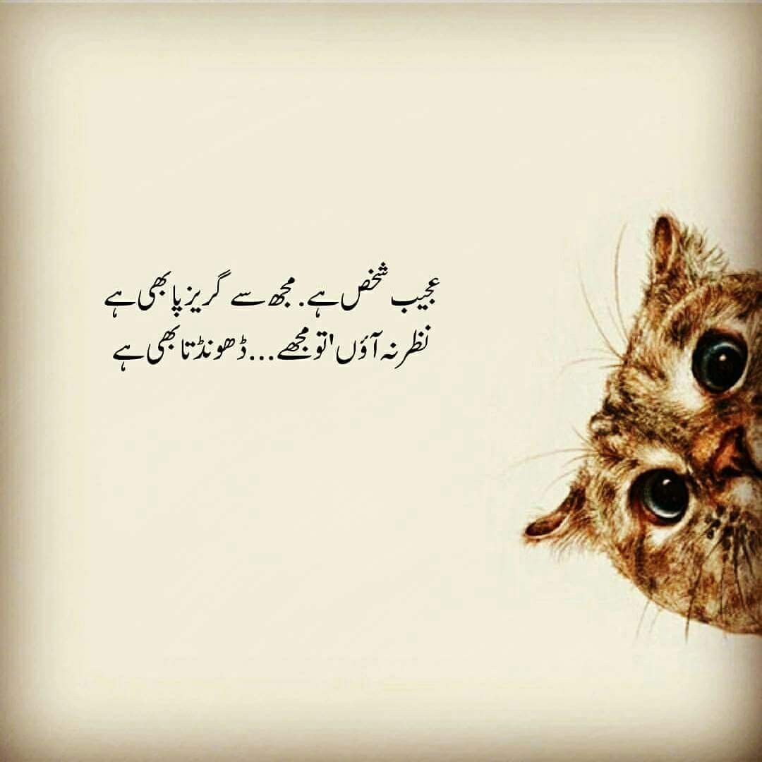 Raaaj_Official's profile banner image