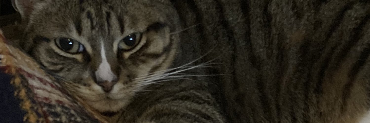 nattades's profile banner image