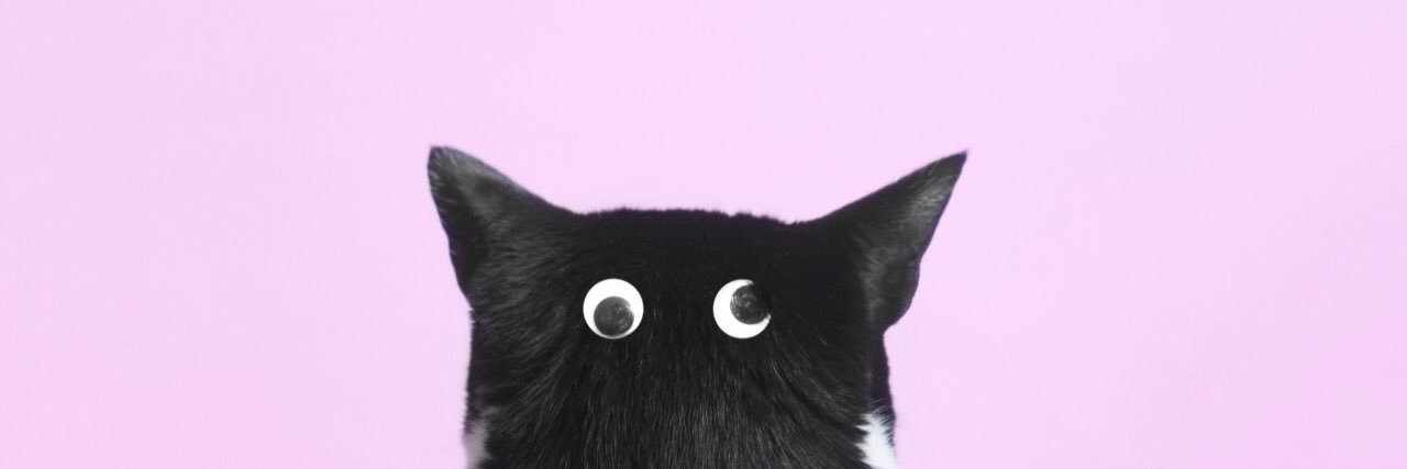 smjolk's profile banner image
