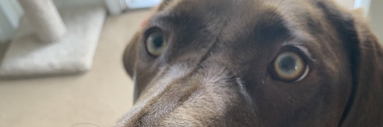 annalaebby's profile banner image