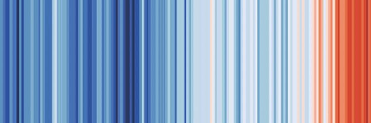 banner konta joannamucha