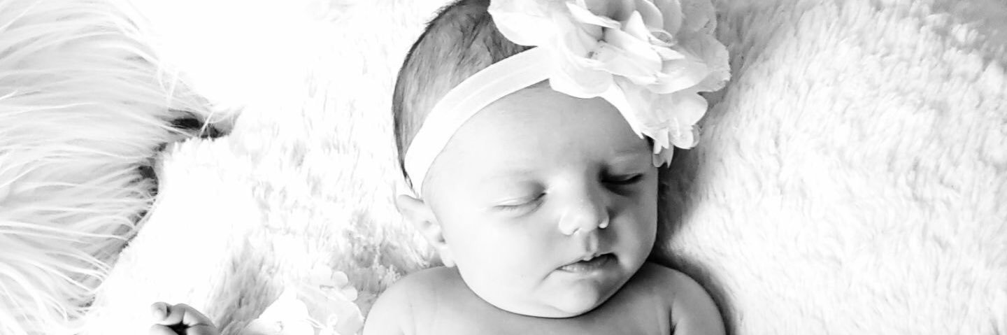 EllieRobak's profile banner image