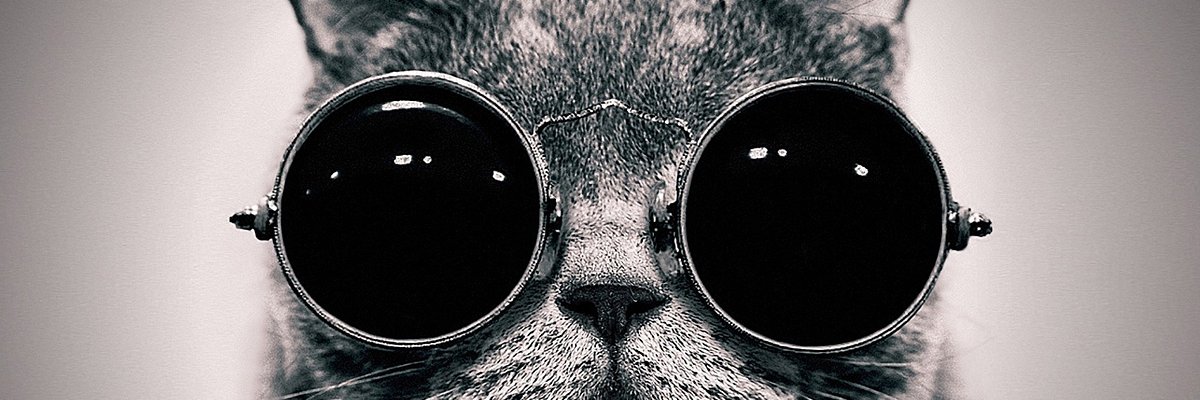 NickBella1's profile banner image