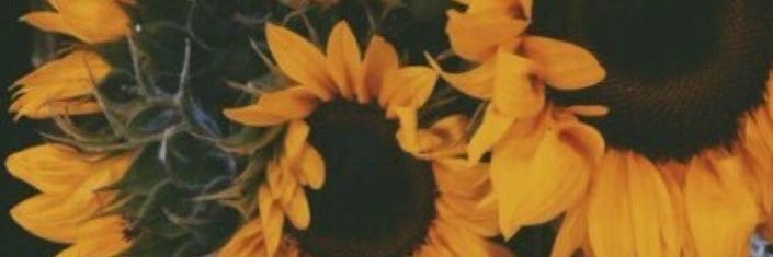 _amyyxv's profile banner image