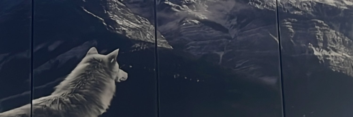 e2yaser's profile banner image