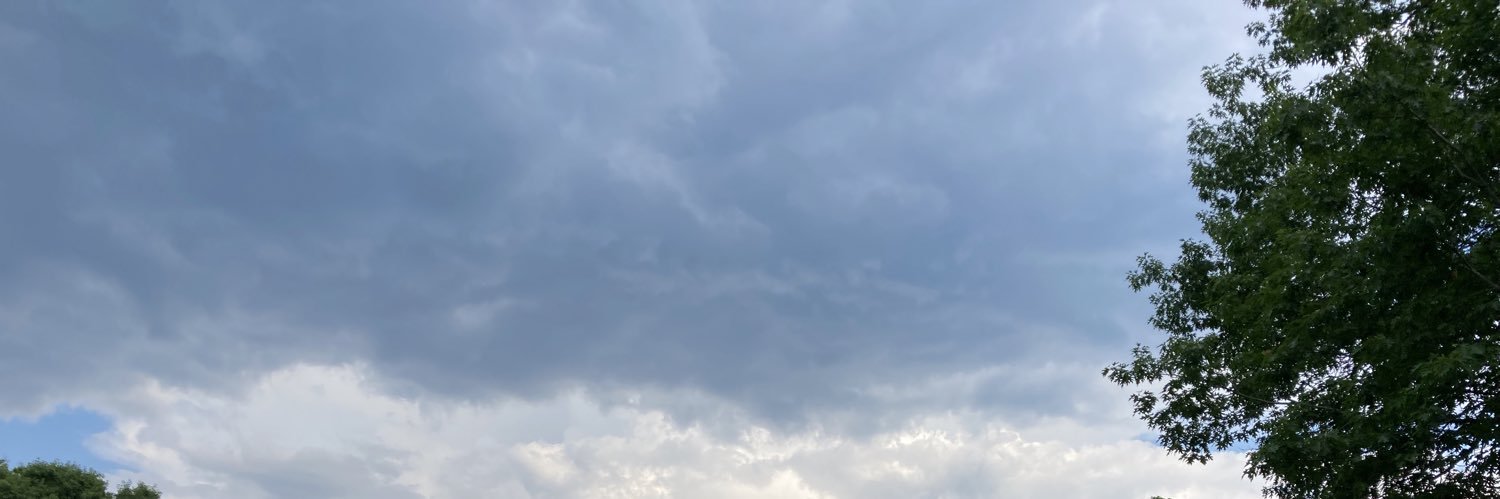 leftstopping's profile banner image