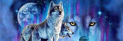 ws_wilsimon's profile banner image