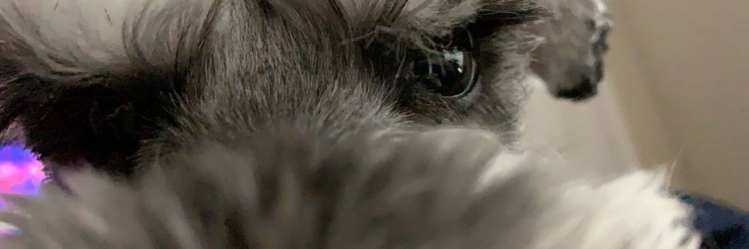 AustinSquaredYT's profile banner image