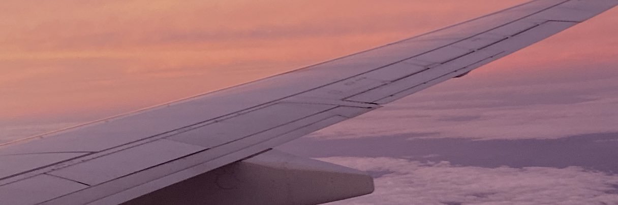 ribeingri banner