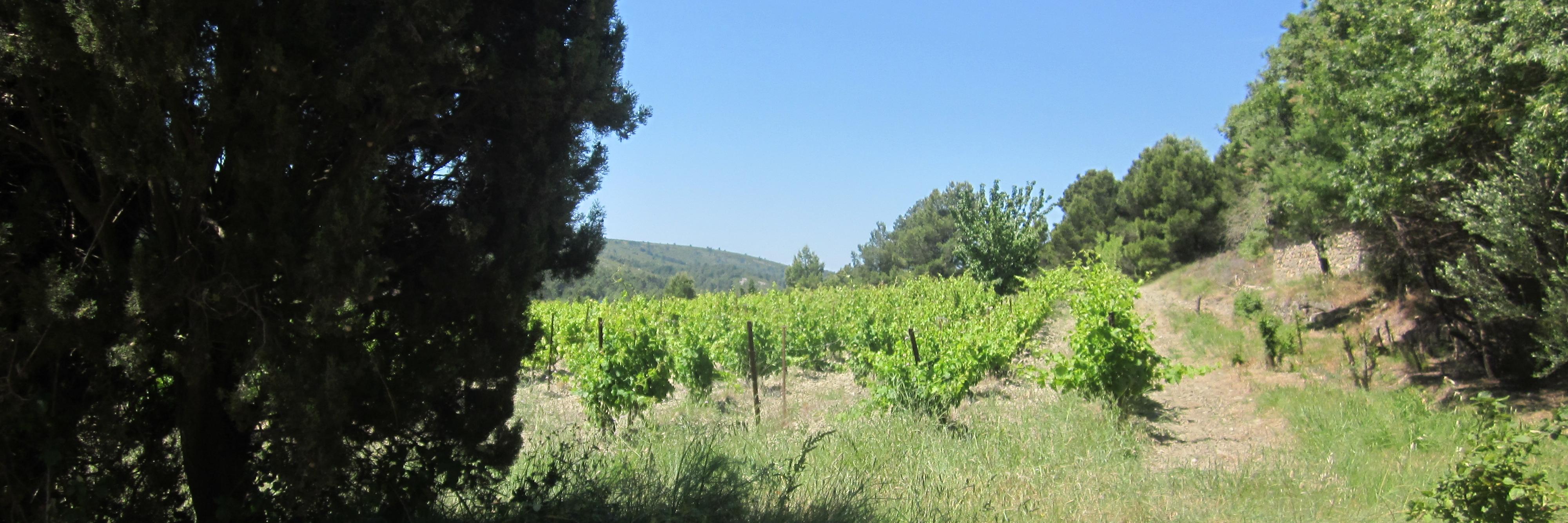 Sublim'Arômes banner