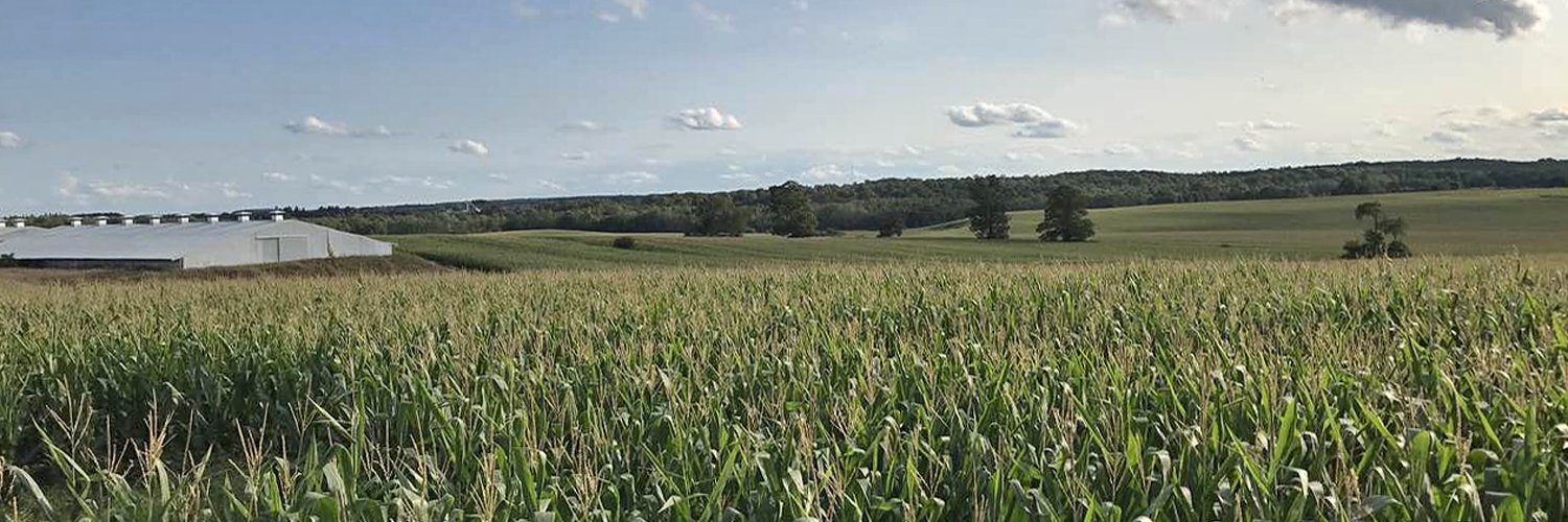 infoCCAGR's profile banner image