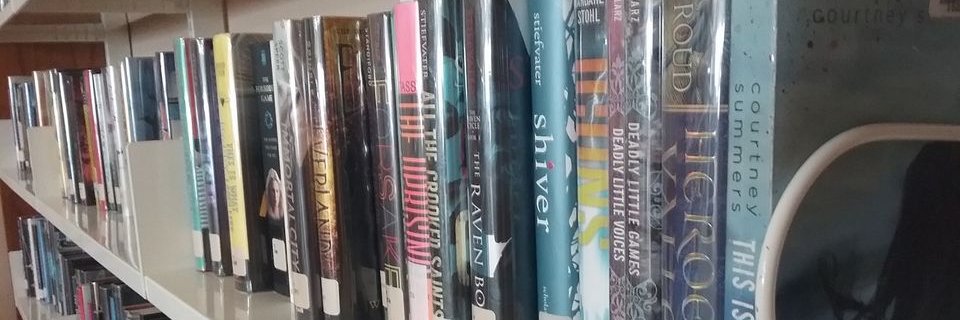 IrricanaLibrary's profile banner image