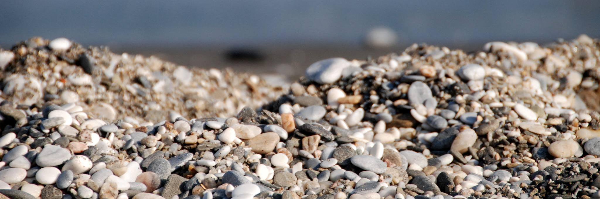 Consuelo Escudero banner