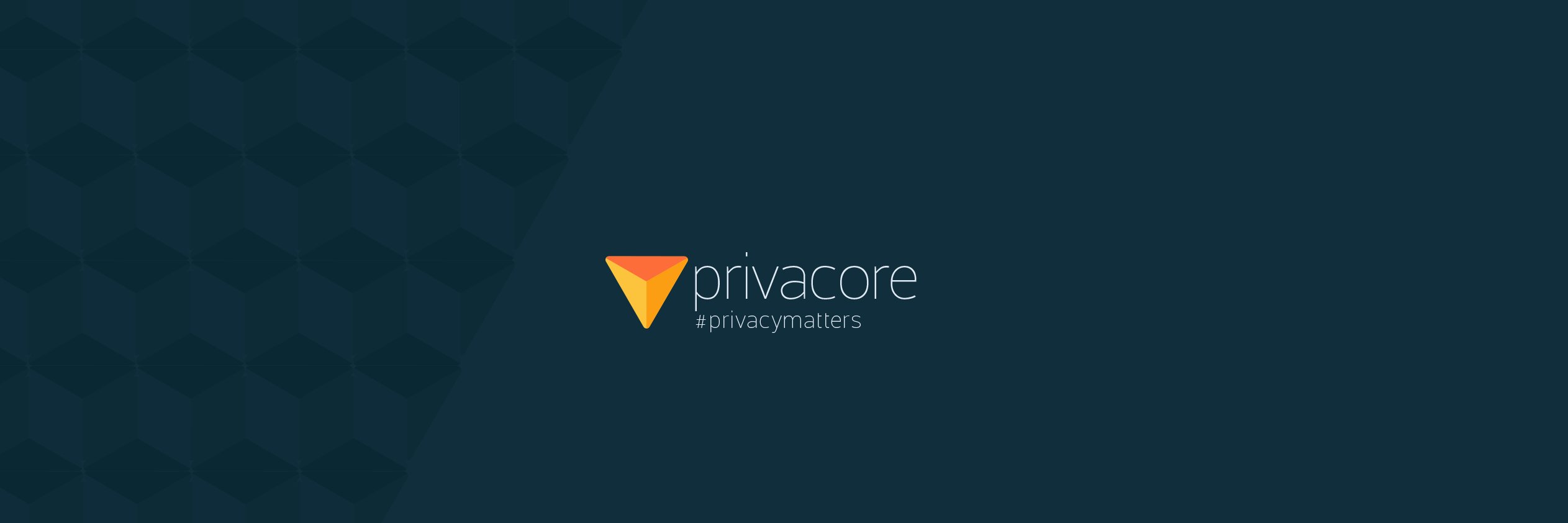 privacore's profile banner image