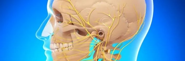 saavedu's profile banner image
