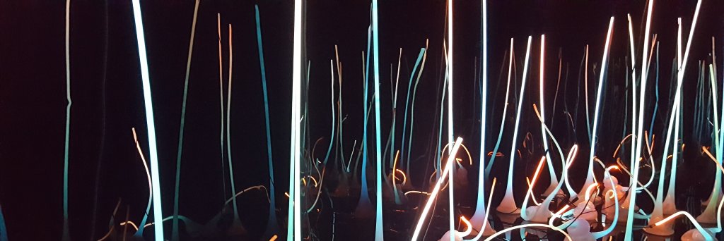 DawnRParty's profile banner image