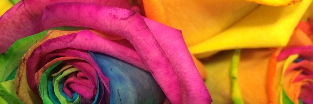 juliethomas4's profile banner image