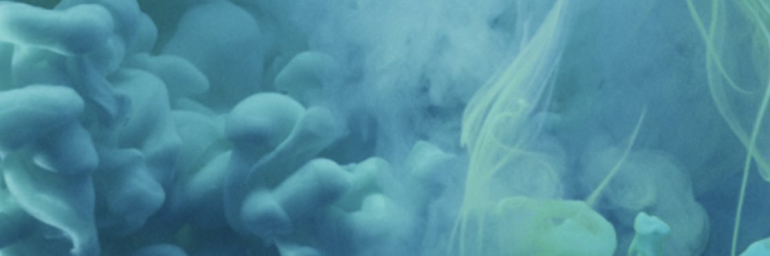 Sarranoia 🐾🌎 banner
