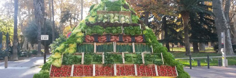 FDSEA Pyérénées Orientales banner