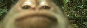 ChekeleteXD's profile banner image