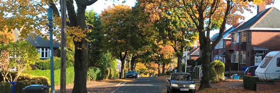 Save GV Trees banner