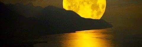 Clau_aliasCatu's profile banner image