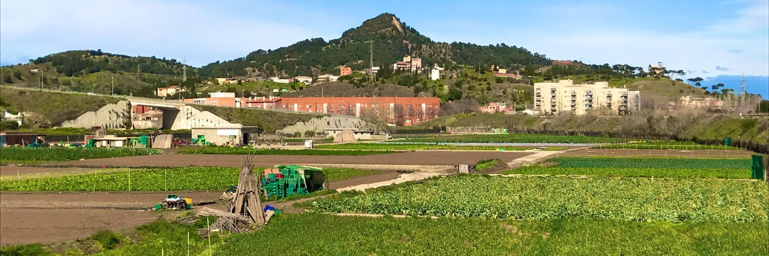 Nou Barris En Comú banner