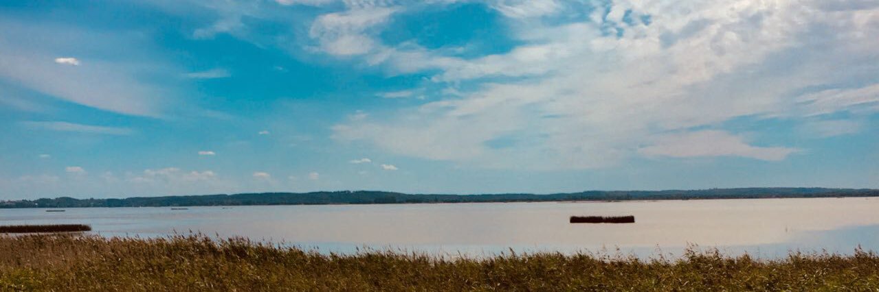 miparulski's profile banner image