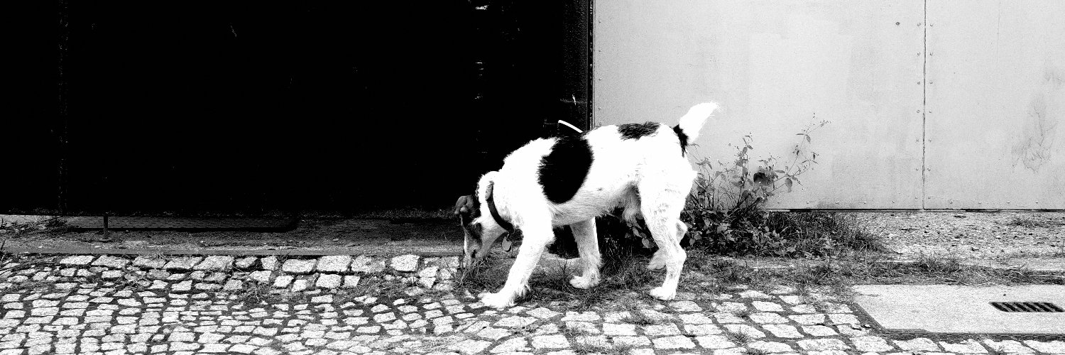TubenBaur's profile banner image