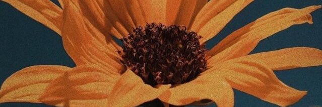 lorraineguedees's profile banner image