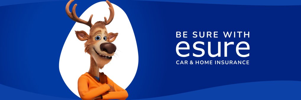 esure banner