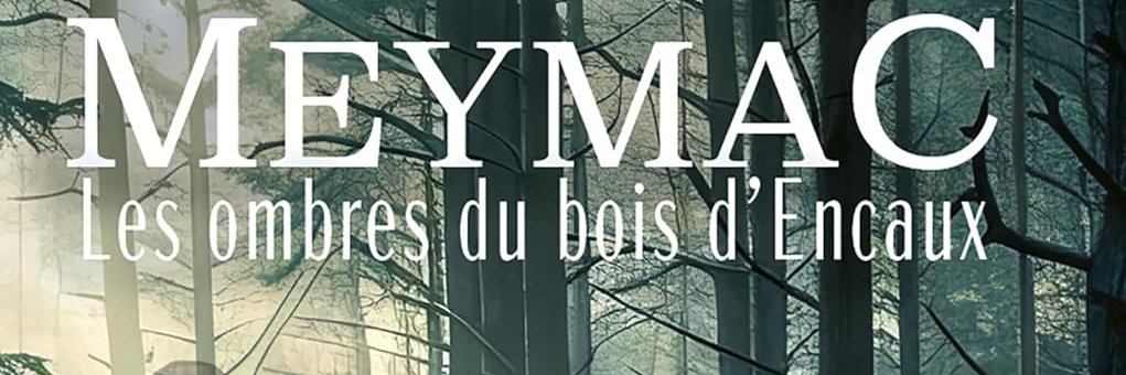 Pierre Vignaud banner