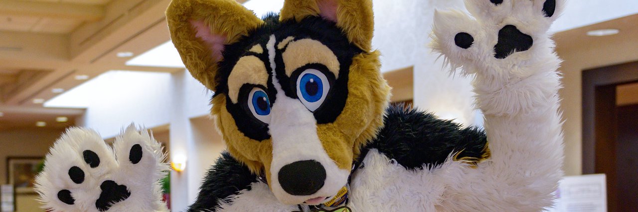 Fangio The Maned Wolf or Stirling The Corgi banner