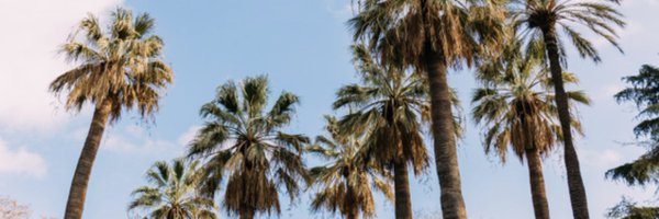 thedailymilli Profile Banner