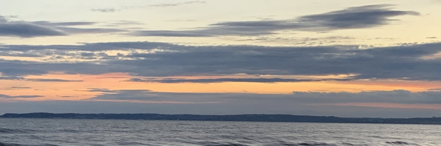 Ellie Grunewald banner