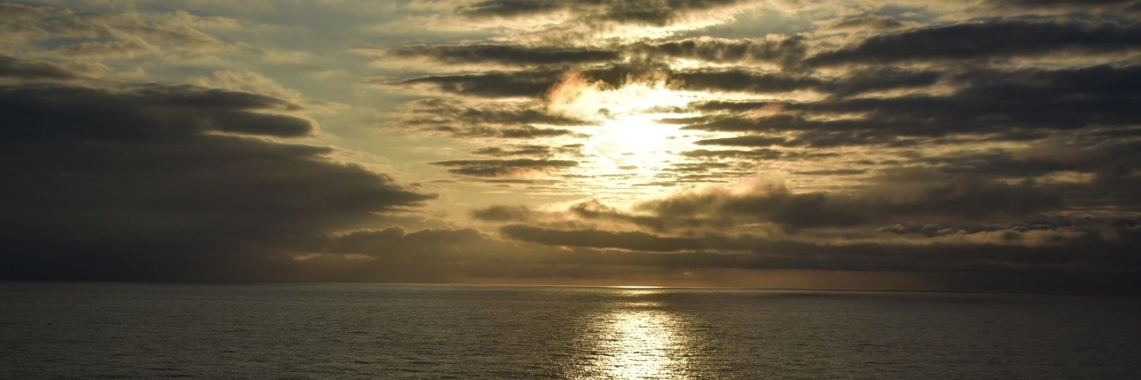 arg4452's profile banner image