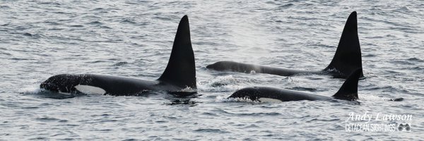 mtnsofscotland Profile Banner