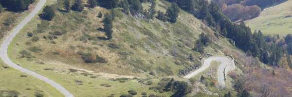 bedbreakfastbik Profile Banner