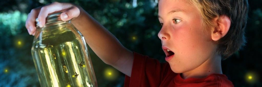 Semaine Insect Week banner