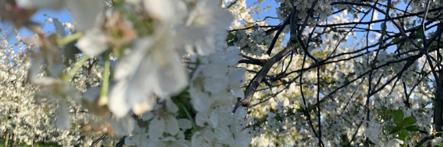 Wouter Vrancken banner