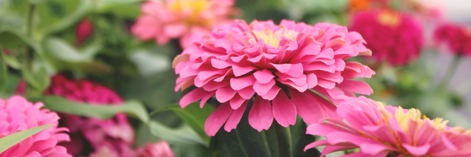 Esbenshade's Garden Centers (@Esbenshades) / Posts / X