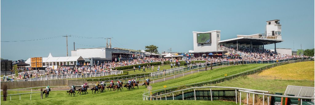 Downpatrick Racecourse banner
