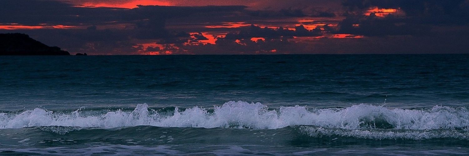 TaliDillon's profile banner image