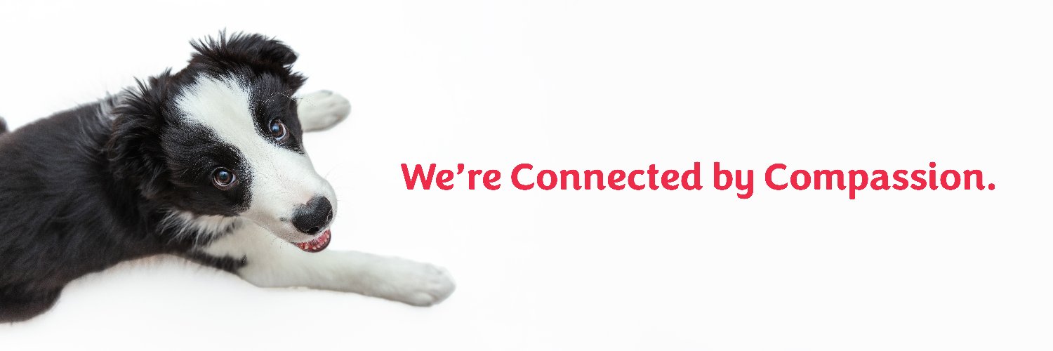 Humane Society Hastings Prince Edward banner