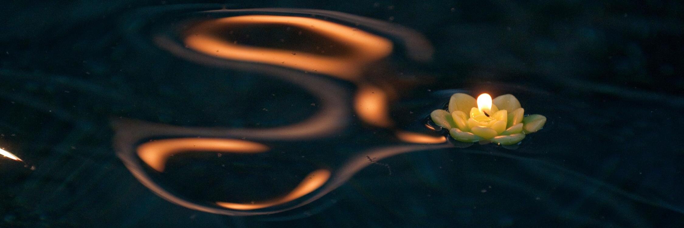 CandaceNBeck's profile banner image