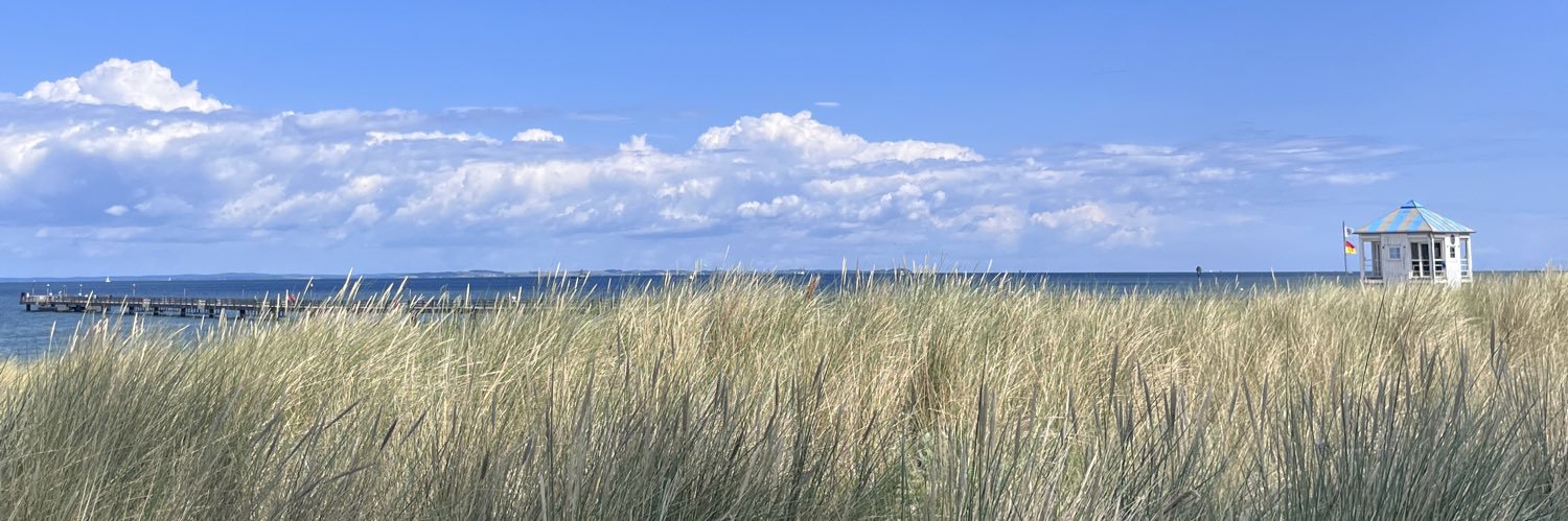 RSchererz's profile banner image