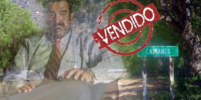 Defensa Caimanes banner