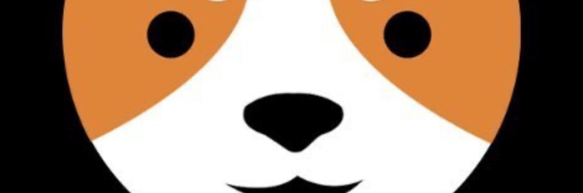 WelshCoinMillionaire.btc $welsh banner