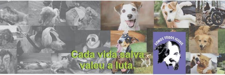 Maroni_Rodrigo's profile banner image